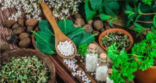Herbs and homeopathic remedies on a table